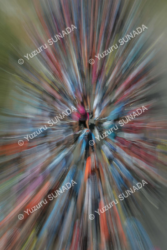 Image of Peloton003p.jpg